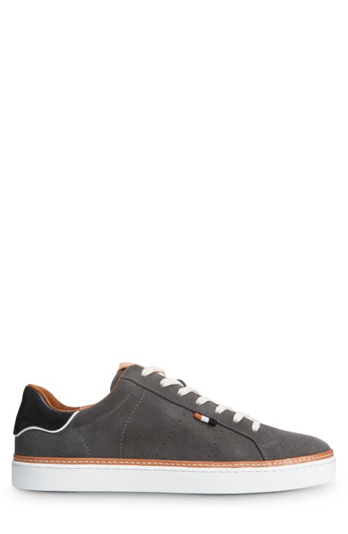 Allen Edmonds Alpha Sneaker In Magnet