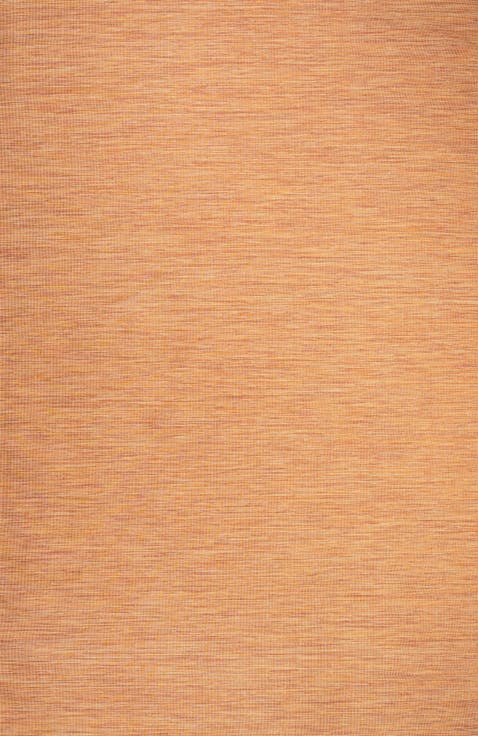 Ethan Modern Flatweave Solid Indoor/Outdoor Area Rug