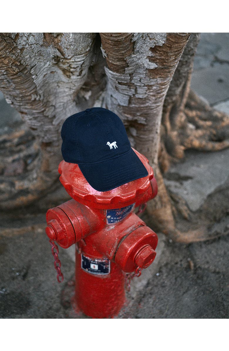 Lost Pattern "Pan Pan" Baseball Cap, Alternate, color, Deep Blue