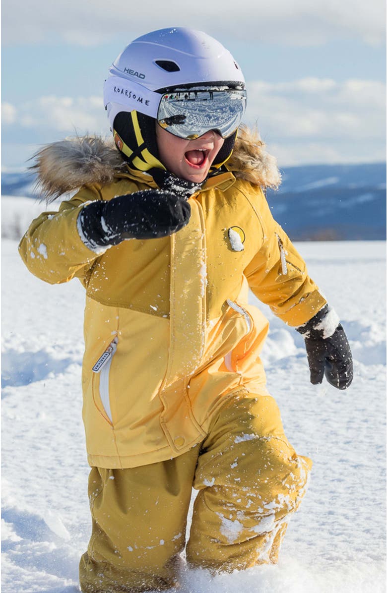 Roarsome Ski Goggles, Alternate, color, Silver