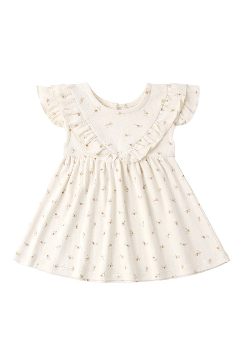 Petit Fleur Organic Cotton Dress & Bloomers Set, Alternate, color, IVORY