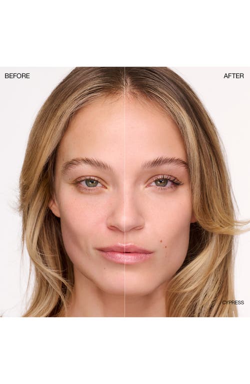 Ogee Complexion Perfecting Concealer In Green