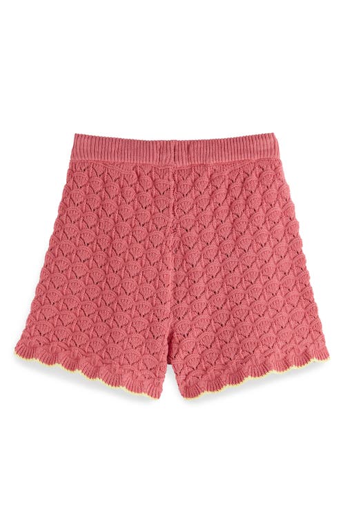 Scotch & Soda Kids' Scallop Pointelle Knit Shorts In Rose Pink