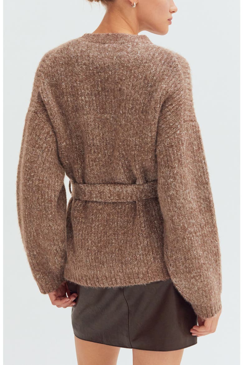 Belted Tunic Sweater, Alternate, color, Brown