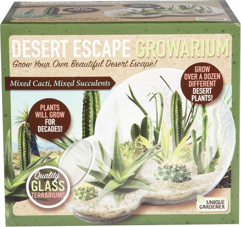 Desert Escape Growarium Terrarium Kit, with Glass Planter Grow Cactus and Succulent Plants