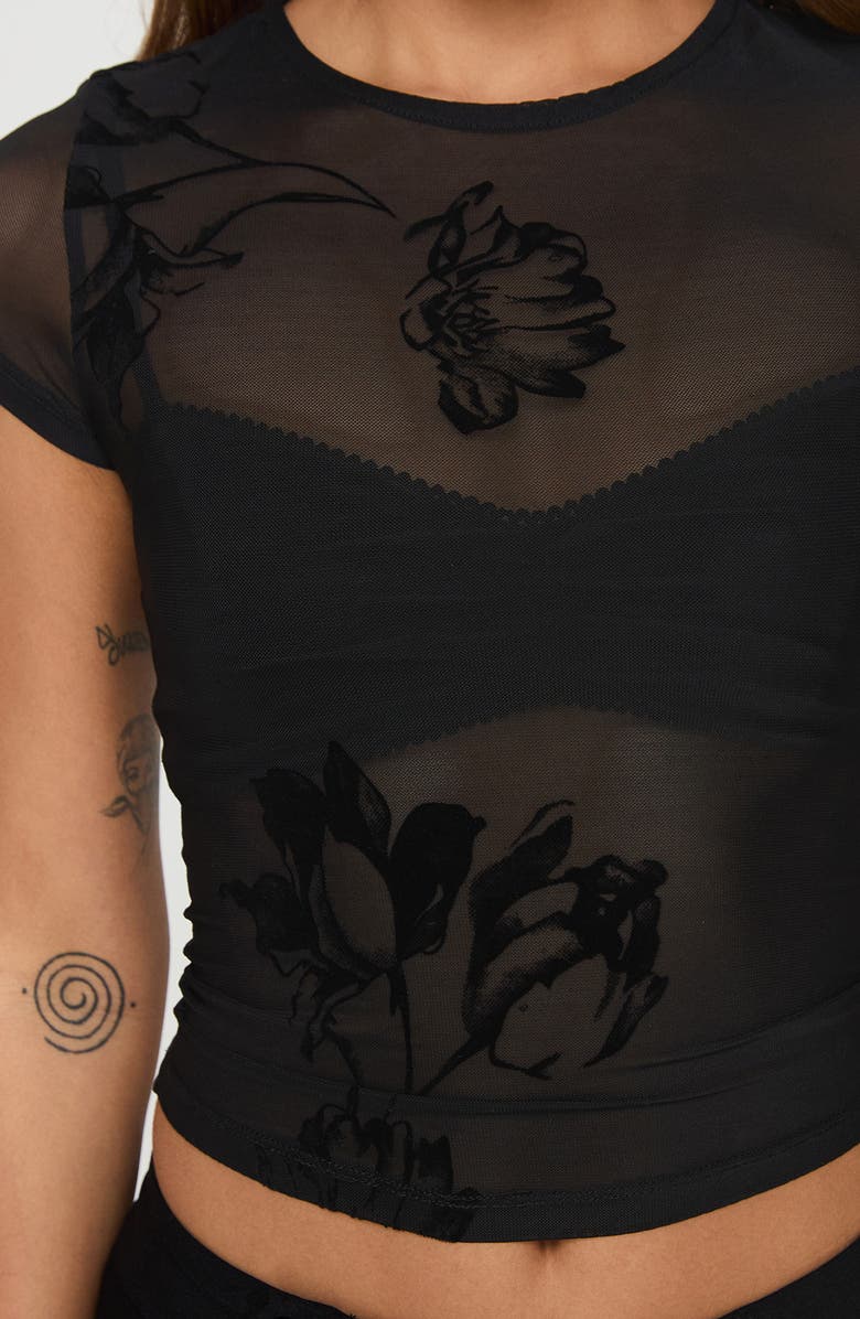 Princess Polly Eowyn Sheer Mesh Crop Top, Alternate, color, 