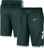 Nike Men's Nike Green Michigan State Spartans Logo Replica Performance Basketball Shorts