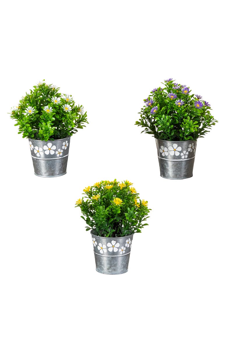 8-in Artificial Daisy Plant in Decorative Daisy Tin Planter - Set of 3, Main, color, Assortment 2