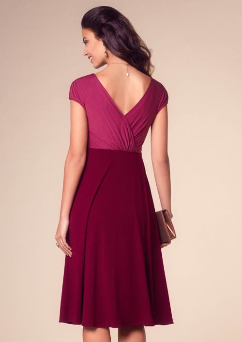 Tiffany Rose Maternity Alessandra Maternity Dress