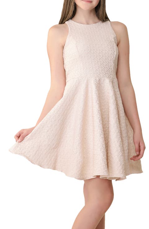 Kids' Metallic Fit & Flare Dress (Big Kid)