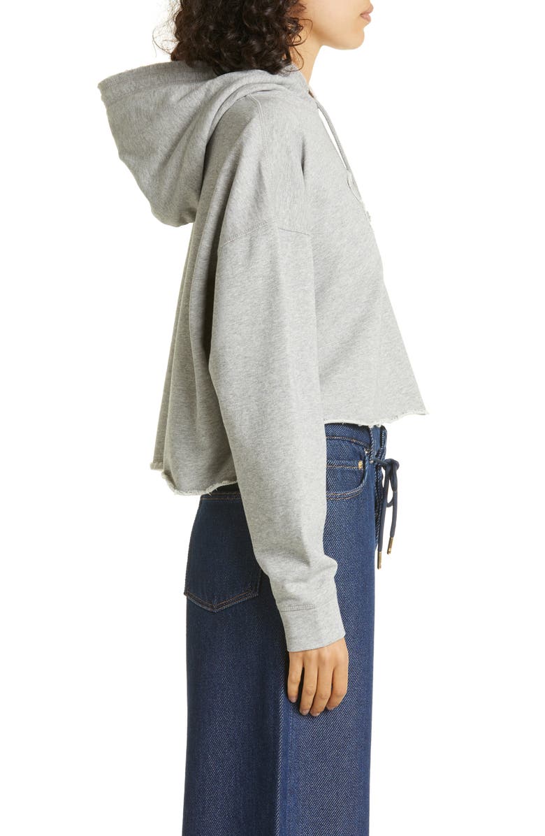 Ganni Isoli Oversize Organic Cotton Crop Hoodie, Alternate, color, 