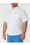 selected White Green Blue