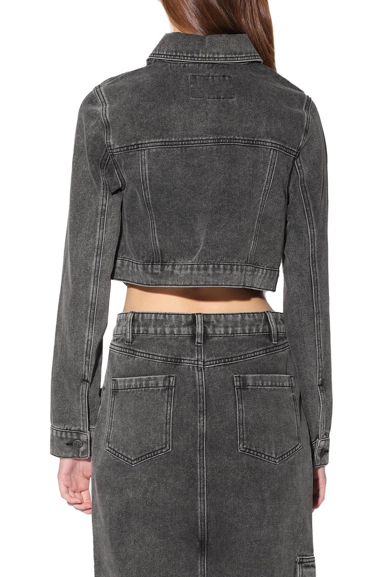Tressa Crop Denim Jacket, Alternate, color, GREY WASH