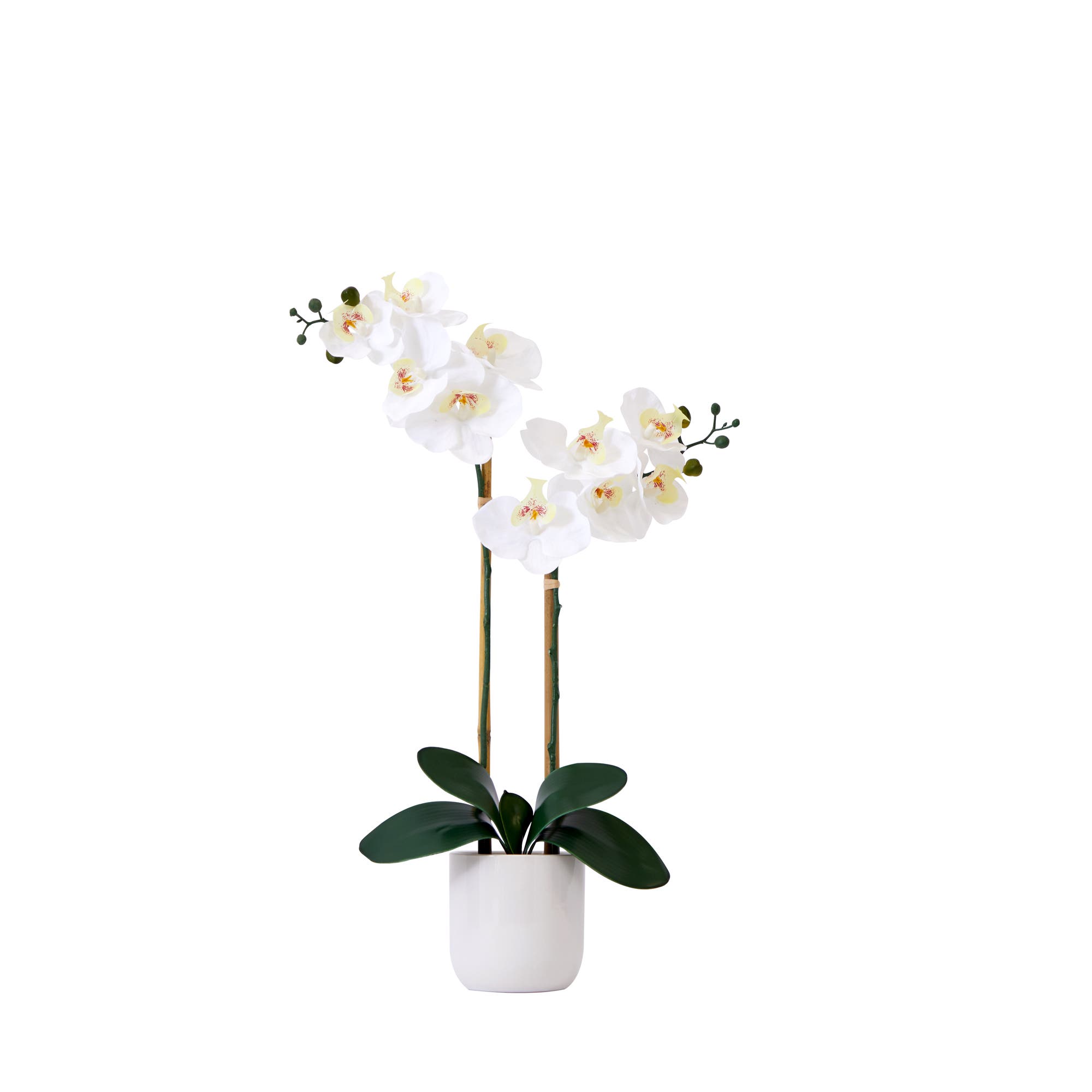 selected White