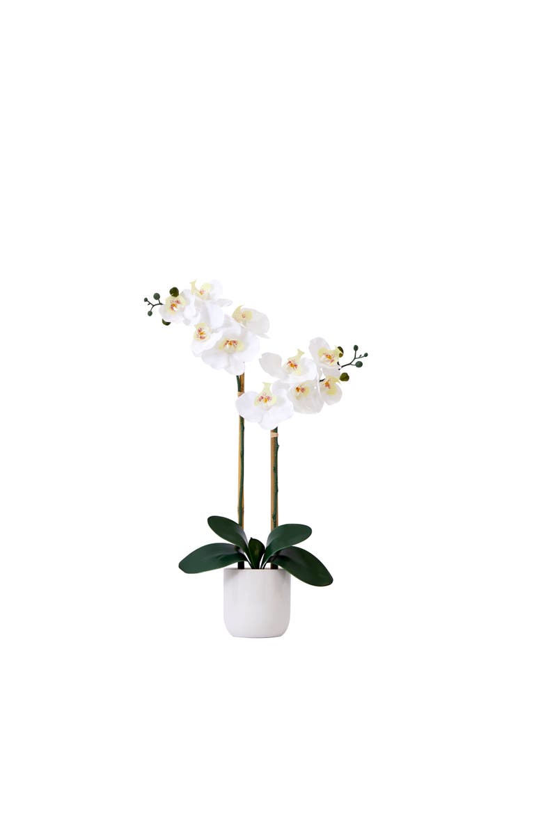 NEARLY NATURAL 26-in Artificial Double Orchid Phalaenopsis with Decorative Vase, Main, color, White