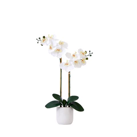 26-in Artificial Double Orchid Phalaenopsis with Decorative Vase (Real Touch)