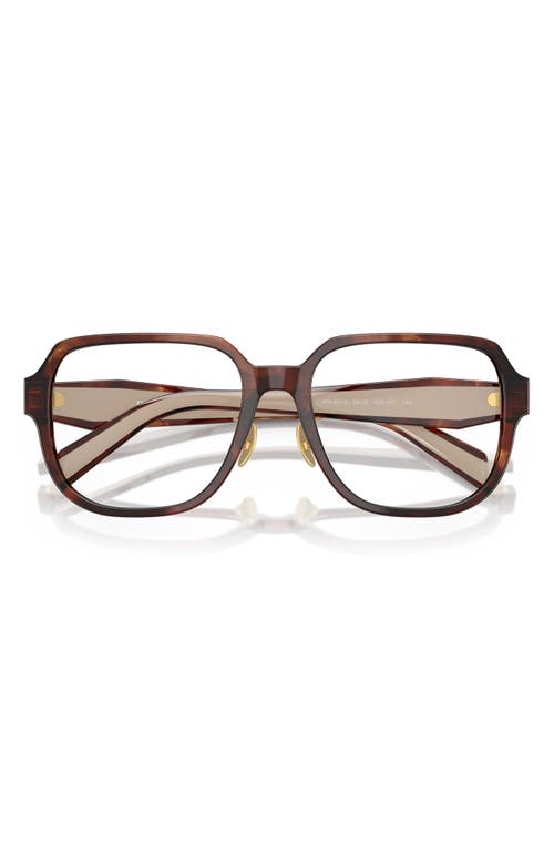 Prada 56mm Pillow Optical Glasses In Caramel