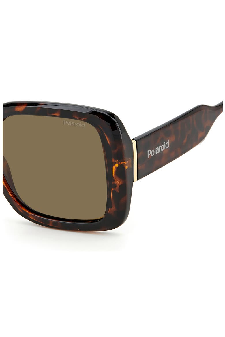 54mm Polarized Square Sunglasses, Alternate, color, HAVANA / BRONZE POLAR
