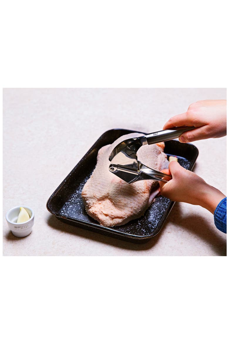 Pro Garlic Press, Alternate, color, STAINLESS STEEL