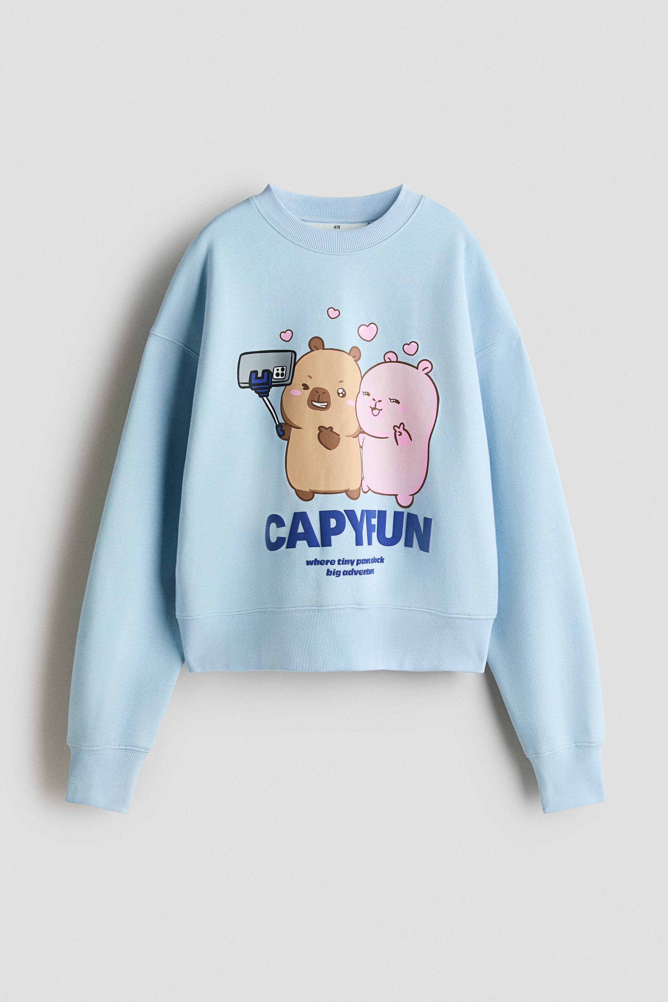 Light blue/CapyFun