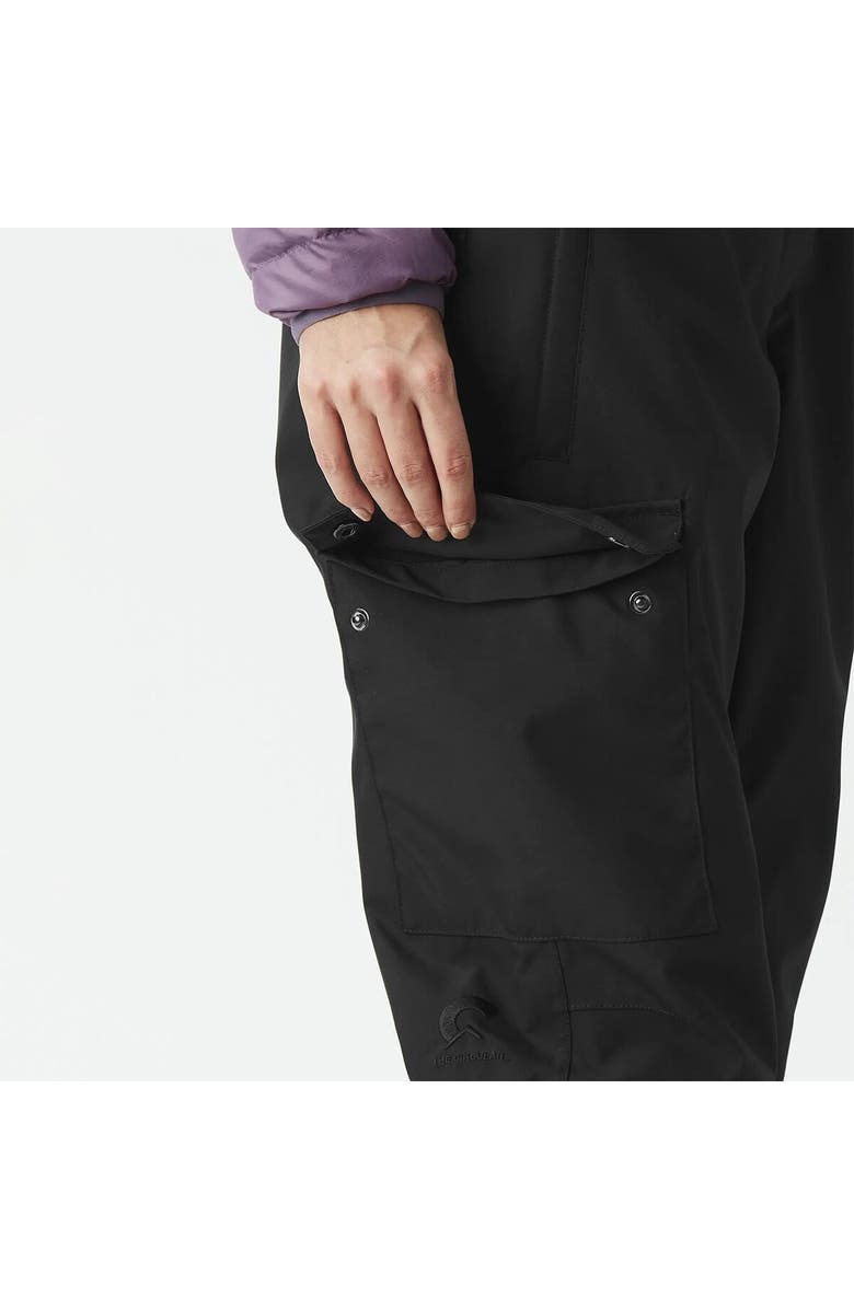 Picture Organic Brita Bib Pant - Women's, Alternate, color, Black