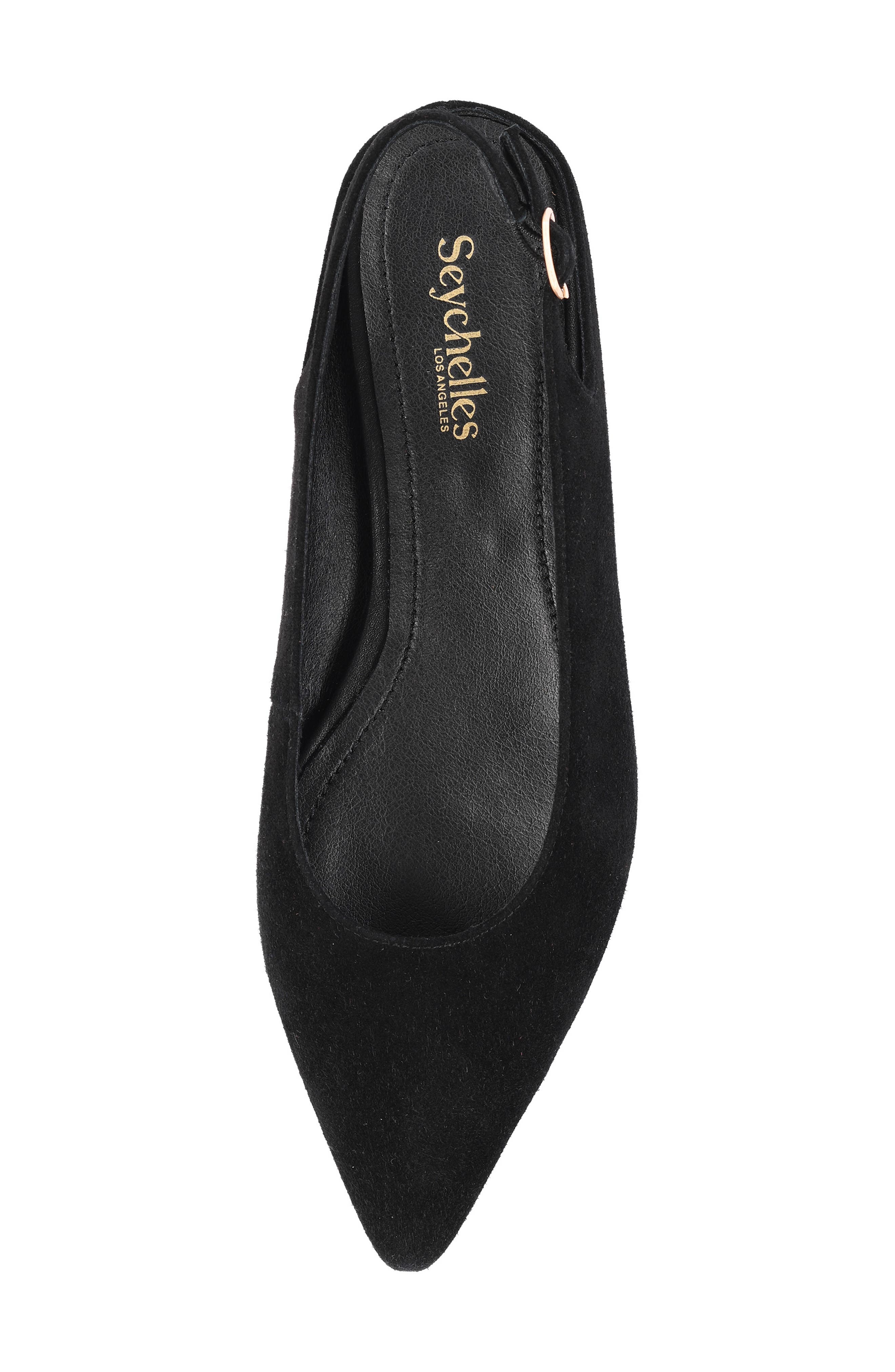 Alameda Pointed Toe Slingback Flat, Alternate, color, BLACK