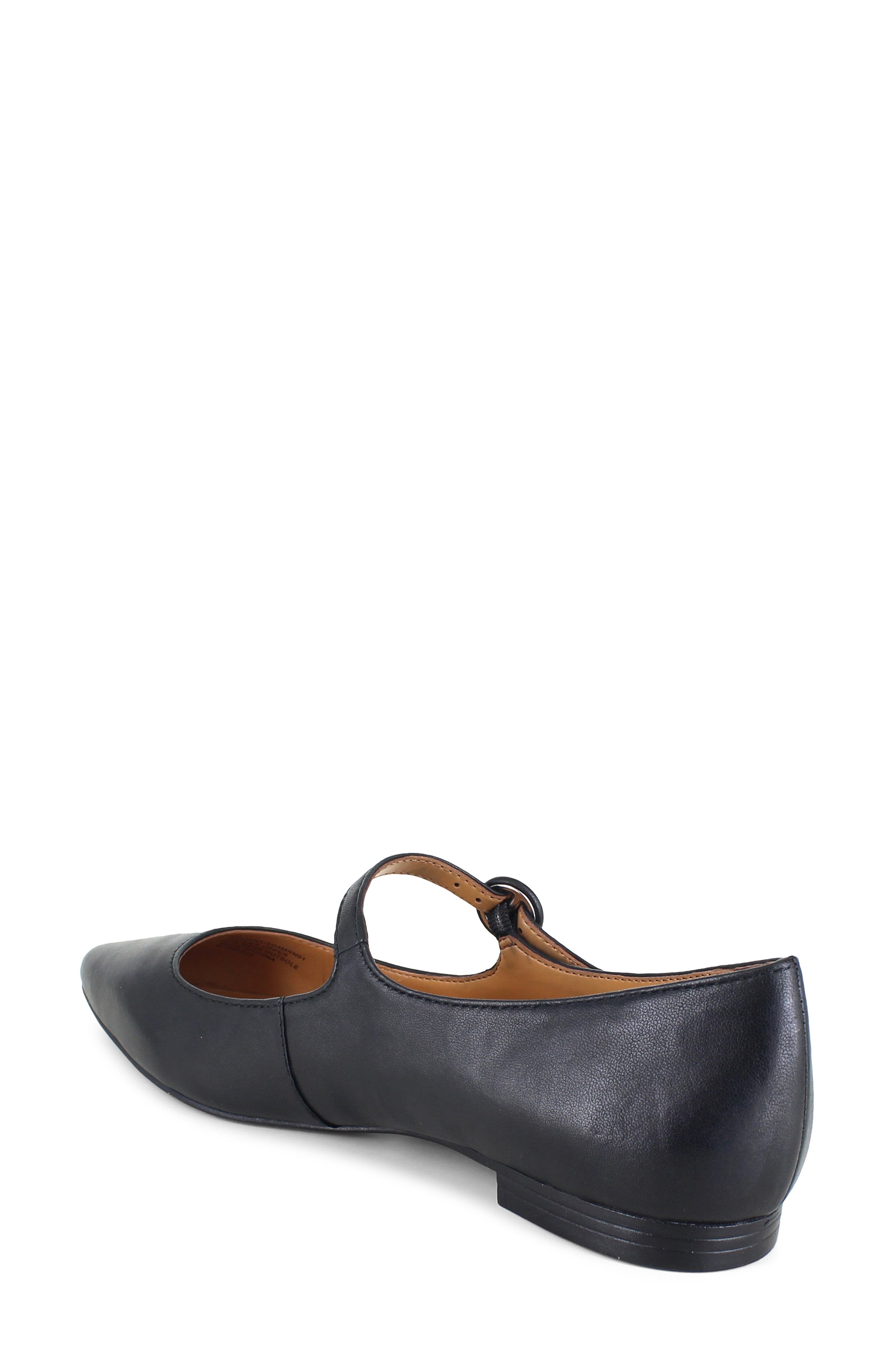 Mariana Pointed Toe Mary Jane Flat, Alternate, color, BLACK