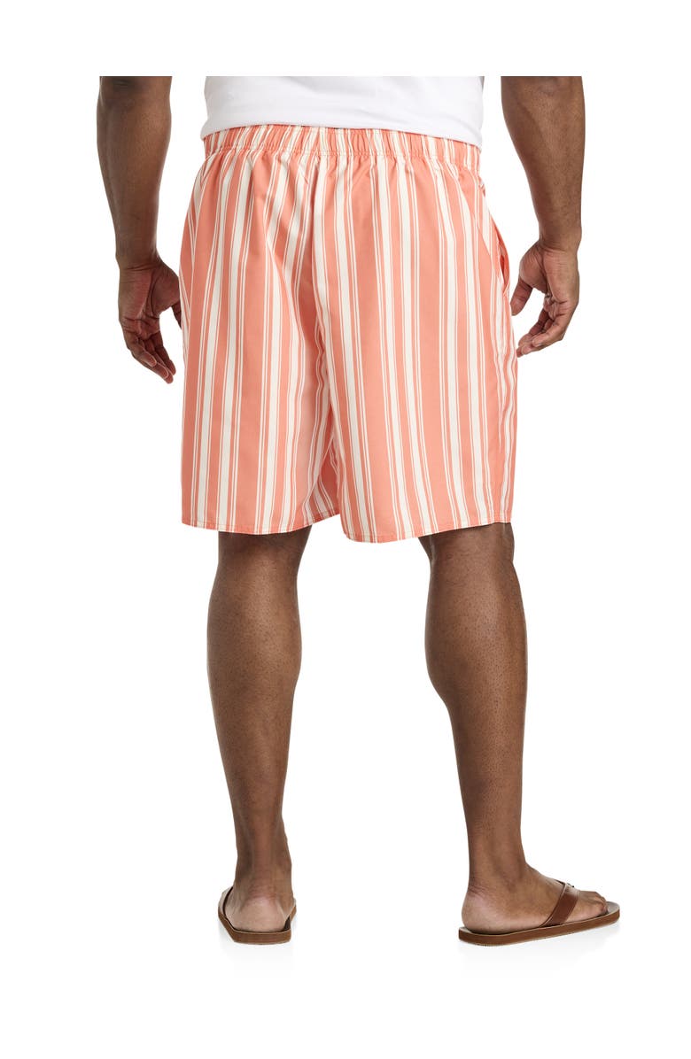 True Nation by DXL Big & Tall Cabana Stripe Swim Trunks, Alternate, color, 