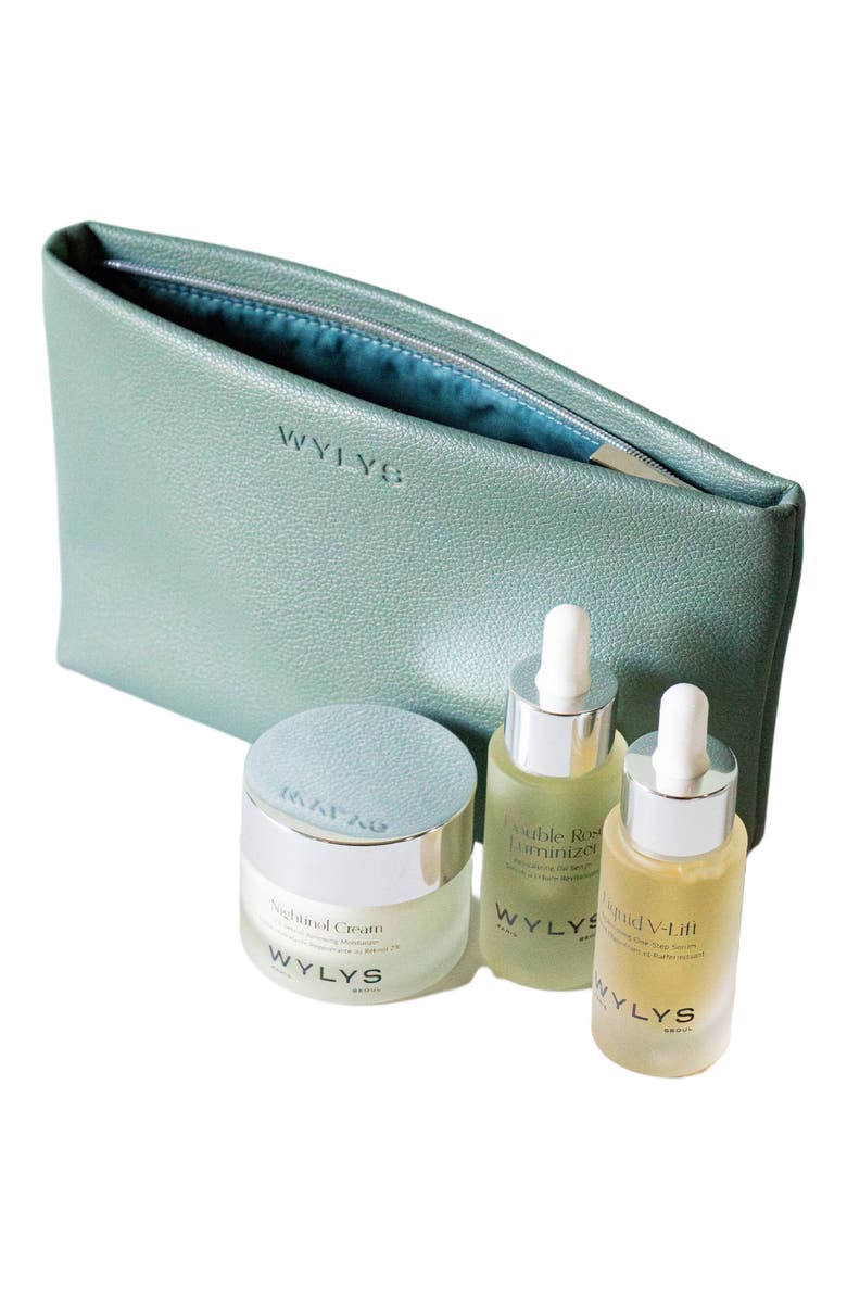WYLYS Sage Verte Makeup Bag, Main, color, NO COLOR