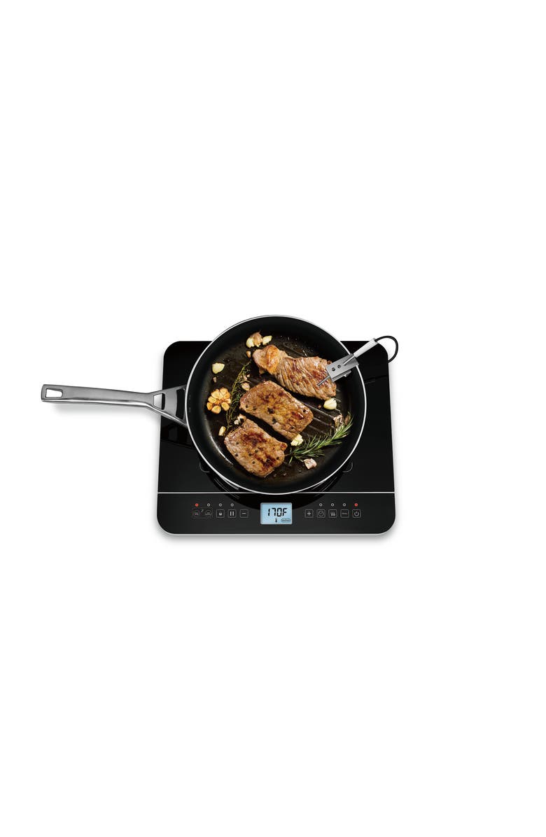 Salton Induction Cooktop with Temperature Probe, Alternate, color,