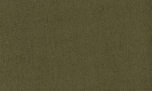 Ellen Tracy Eyelet Inset Button-up Shirt In Olive