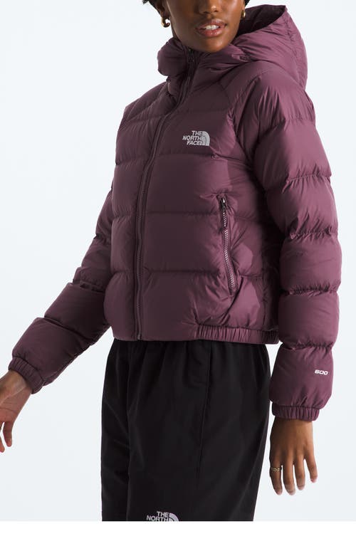 The North Face Hydrenalite Hooded Down Jacket In Purple