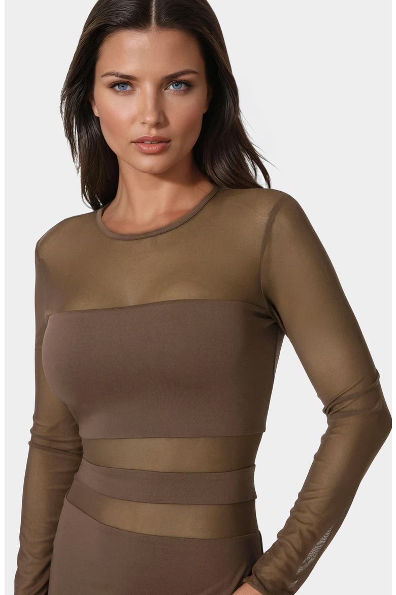 Illusion Mesh Mini Dress, Alternate, color, CHOCOLATE