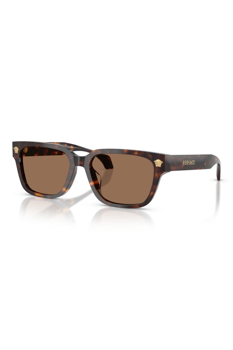 56mm Rectangular Sunglasses, Alternate, color, HAVANA / DARK BROWN