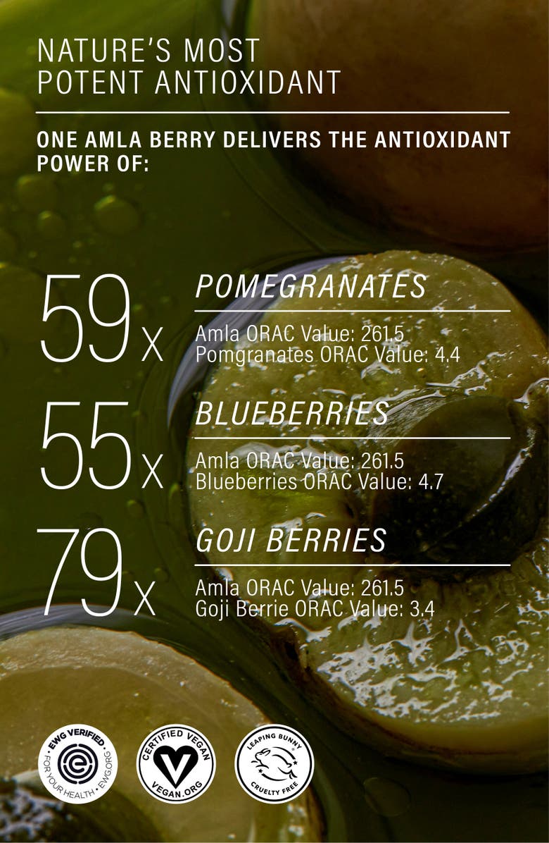 ASNA Amla BioVeda 3-IN-1 Hair Oil, Alternate, color, NO COLOR