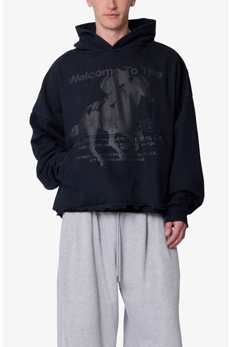 Moth Eaten Graphic Hoodie, Main, color, BLACK