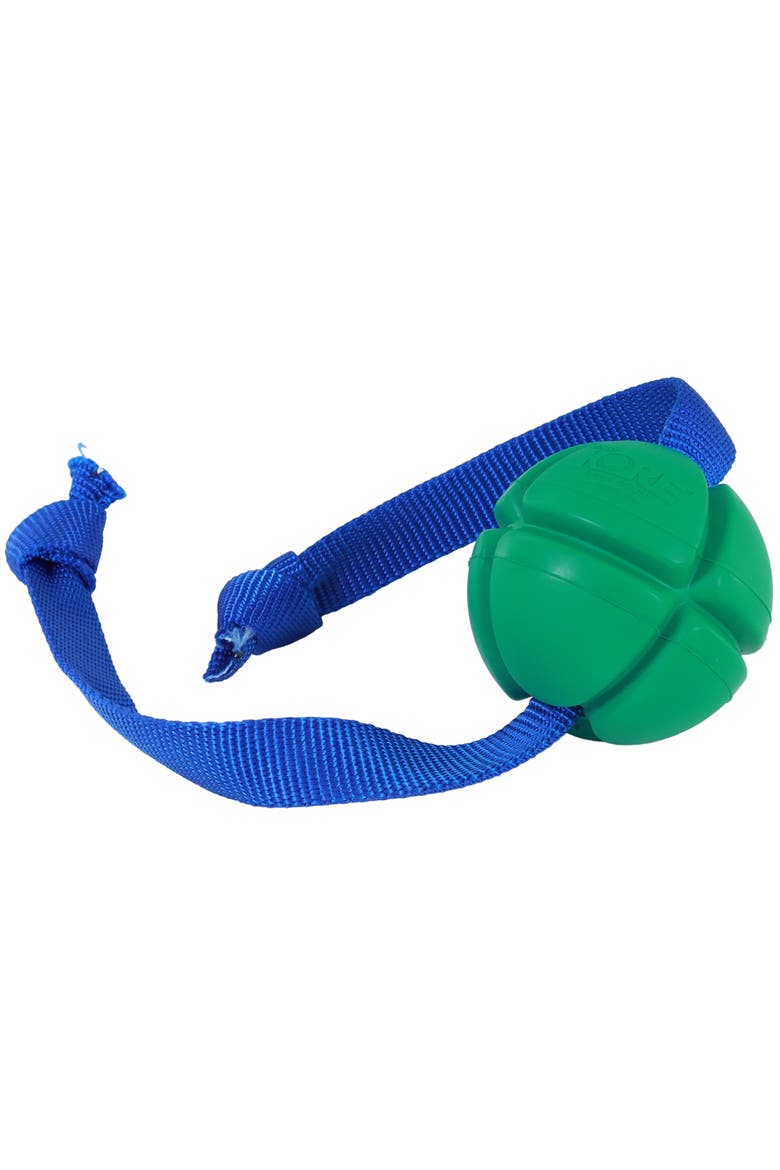 FloTex Tug, Medium, 2.5 Inch, Green, Rubber Dog Toy, Alternate, color, Green