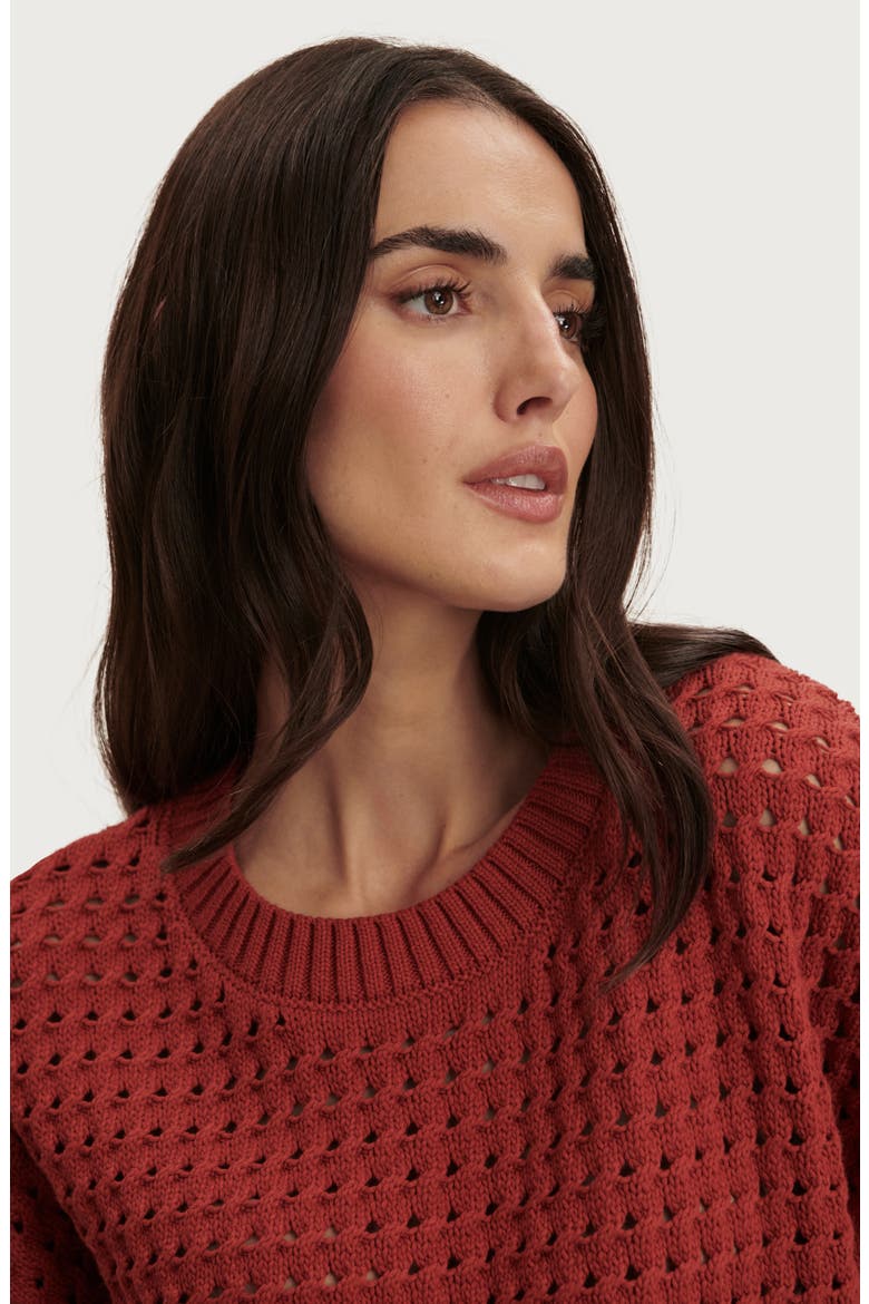 Denny Pointelle Knit Top, Alternate, color, BOSSA NOVA