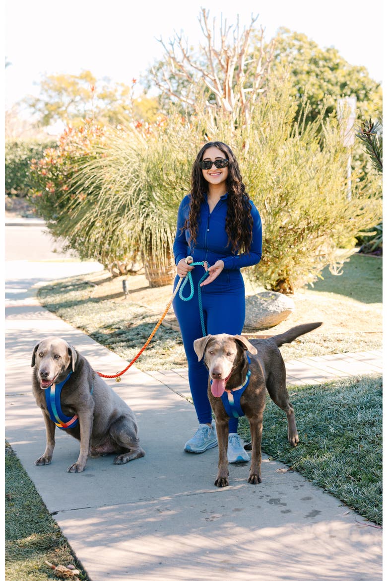 Beau Hands-Free Rope Dog Leash, Alternate, color, Beau 7ft