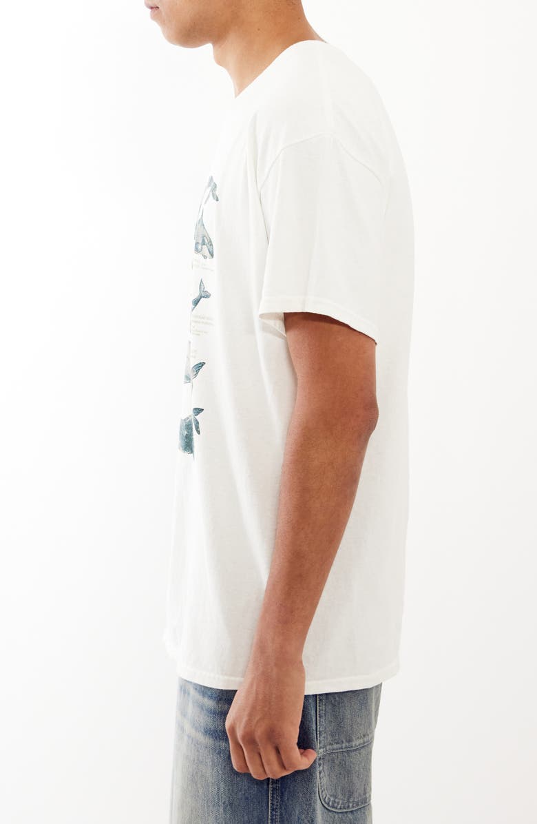 BDG Urban Outfitters Whales of the World Graphic T-Shirt, Alternate, color, 