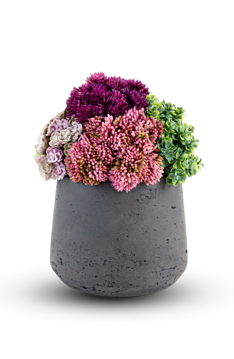 Neriah Mini Sedum Arrangement