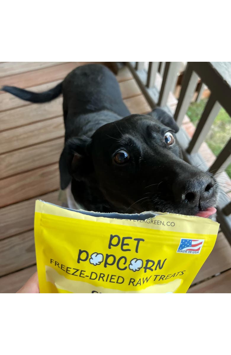 Pet Popcorn Freeze Dried Raw Treats, Bison Liver, 2.5oz Bag, Dog & Cat Snacks, Alternate, color, Multicolored