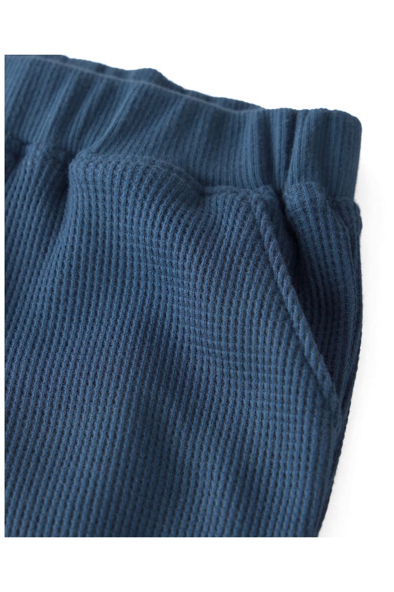 Kids' 2-Piece Organic Cotton Waffle Shirt and Pants Set, Alternate, color, BLUE