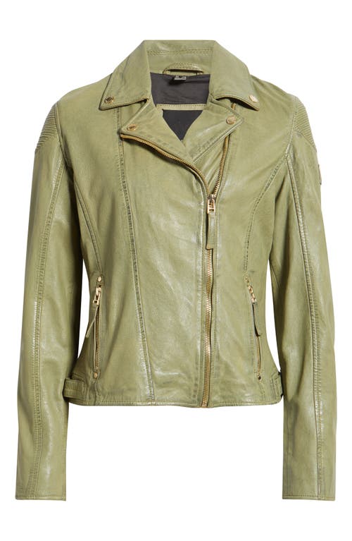 Mauritius Raizel Leather Moto Jacket In Green