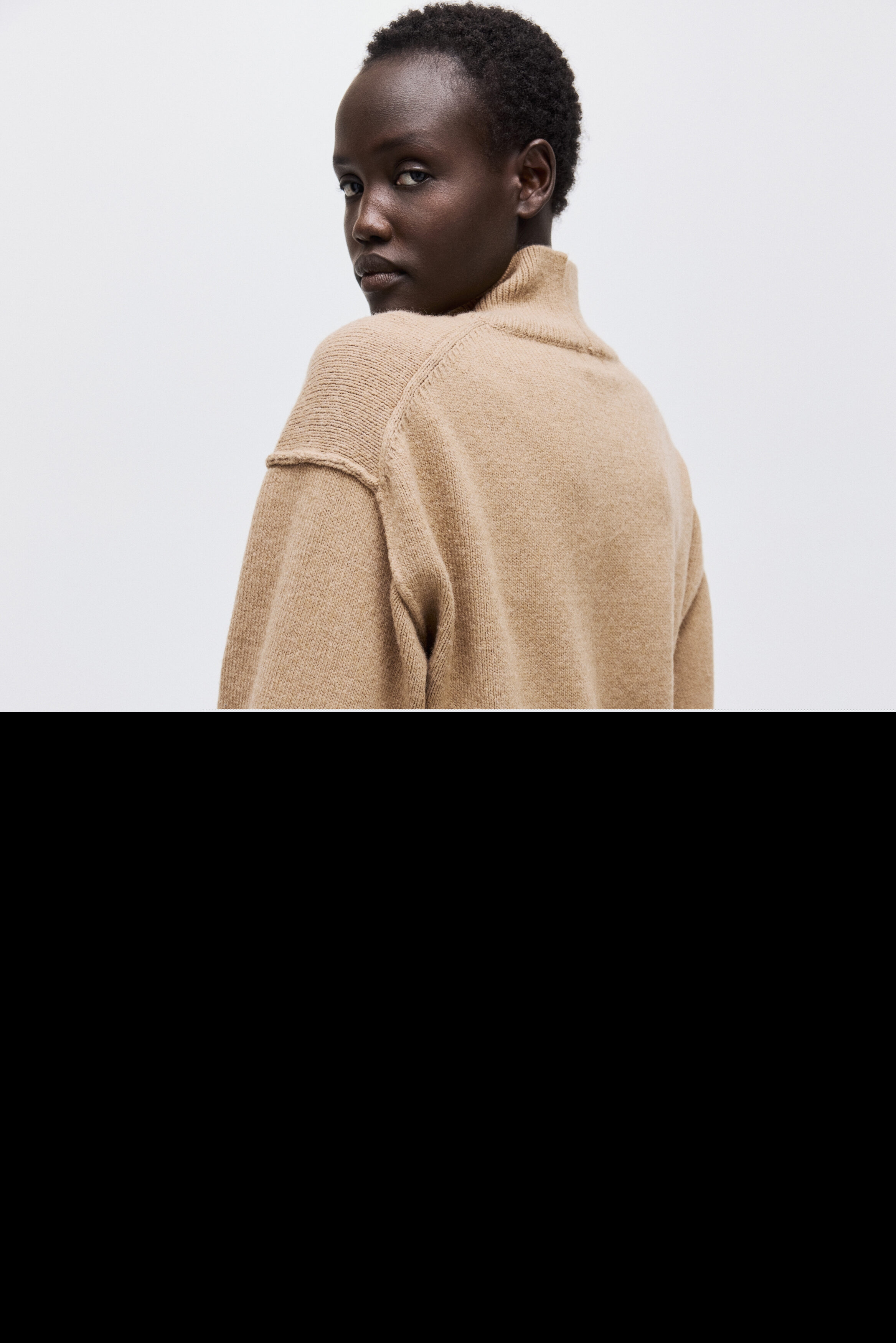 Seam-detail Turtleneck Jumper, Alternate, color, Dark beige