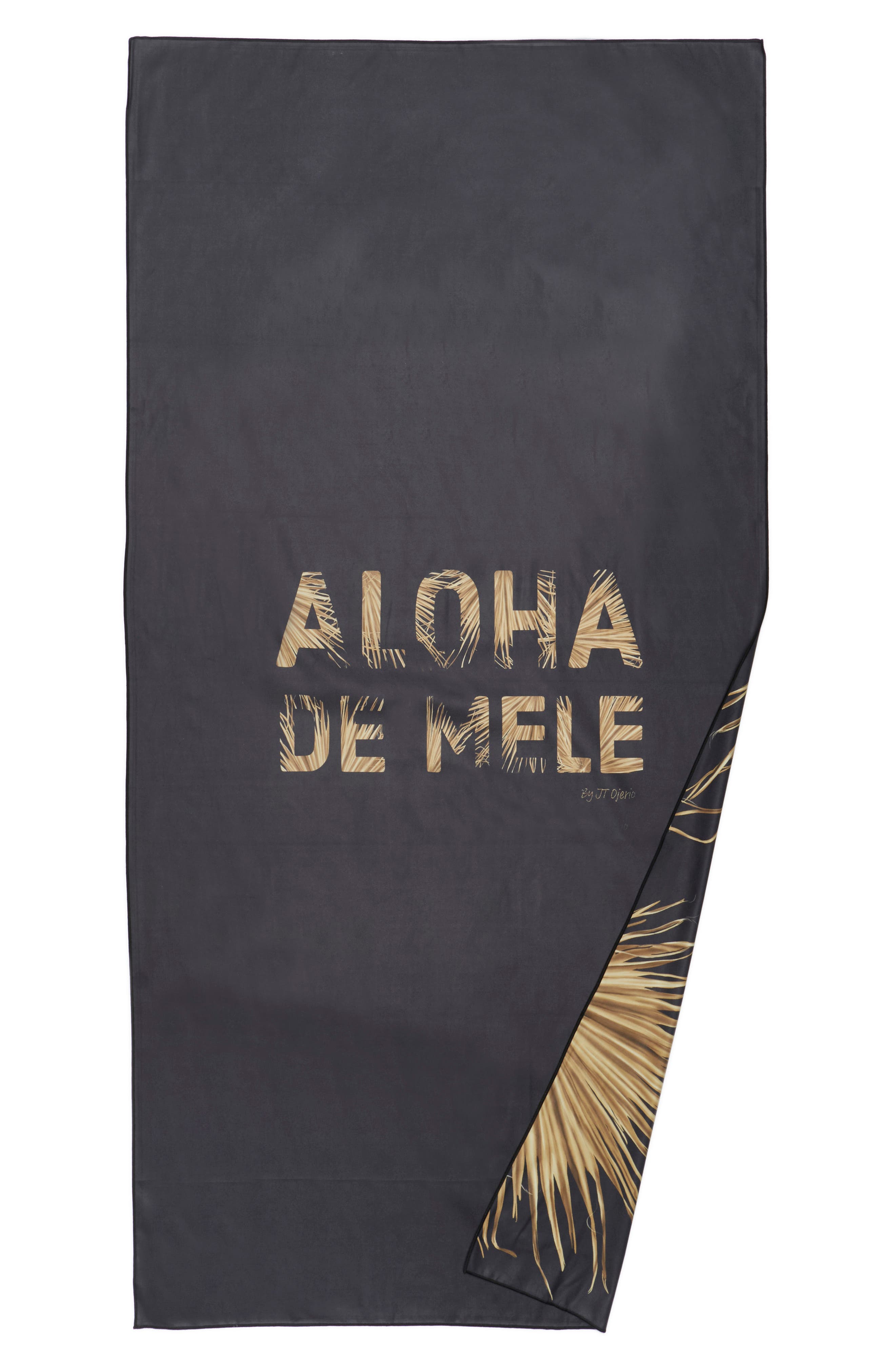 PALM PADRE