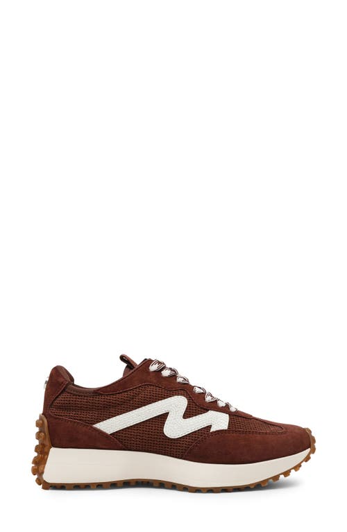 Steve Madden Campo Sneaker In Brown Multi