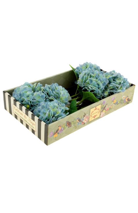 Vibrant Hydrangea Natural Touch, Box of 6