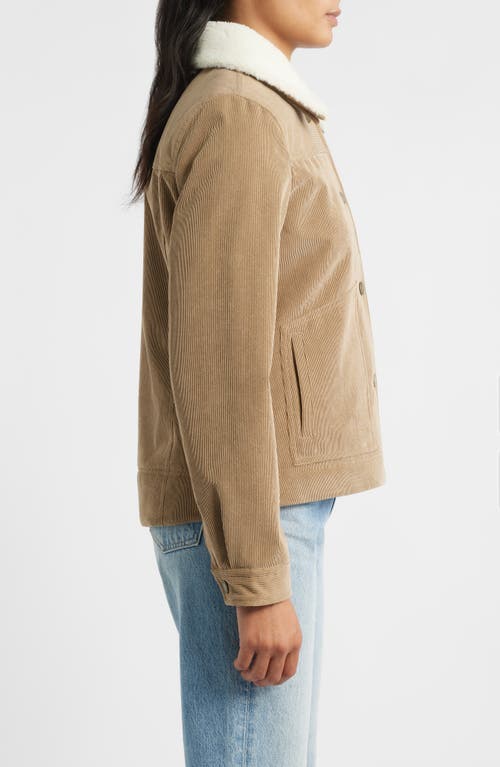Pendleton Wind River Corduroy Trucker Jacket With Removable Fleece Collar In Brown