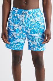 Vintage Summer Volley Swim Trunks